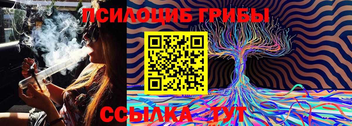 Воткинск  Галлюциногенные грибы MAGIC MUSHROOMS  Вход с VPN 